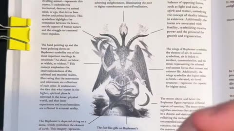 🧠 THE BOOK OF WISDOM: VOLUME 2 — THE MIND-BLOWING TRUTH ABOUT ANIMAL & HUMAN CONSCIOUSNESS 🧠✨