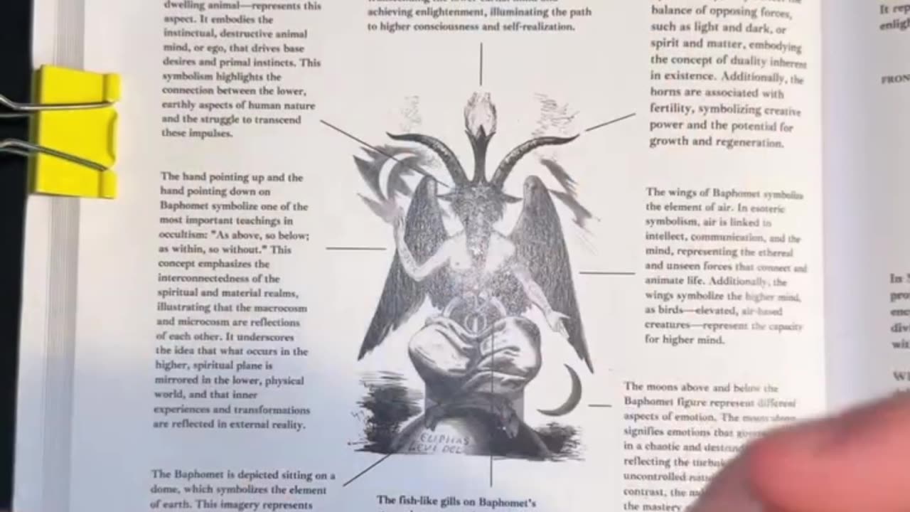 🧠 THE BOOK OF WISDOM: VOLUME 2 — THE MIND-BLOWING TRUTH ABOUT ANIMAL & HUMAN CONSCIOUSNESS 🧠✨