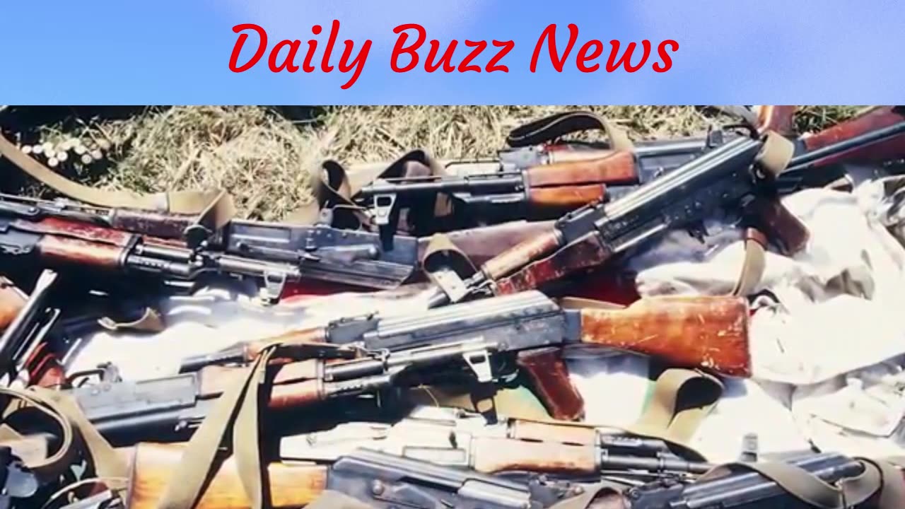 Ian Cameron Slams SAPS Over Firearm Case Discrepancies