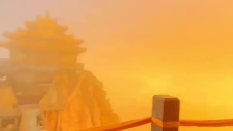 Peaceful Outdoor Views 🌳 Stunning Nature Scenes 🐦🌺 Amazing Nature Views 🍃 #Shorts