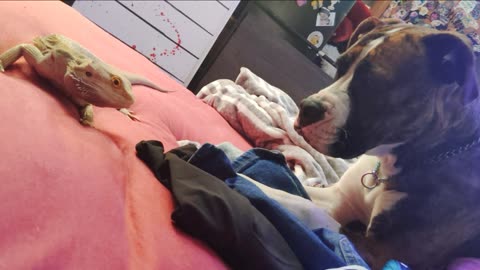 Not your typical snack