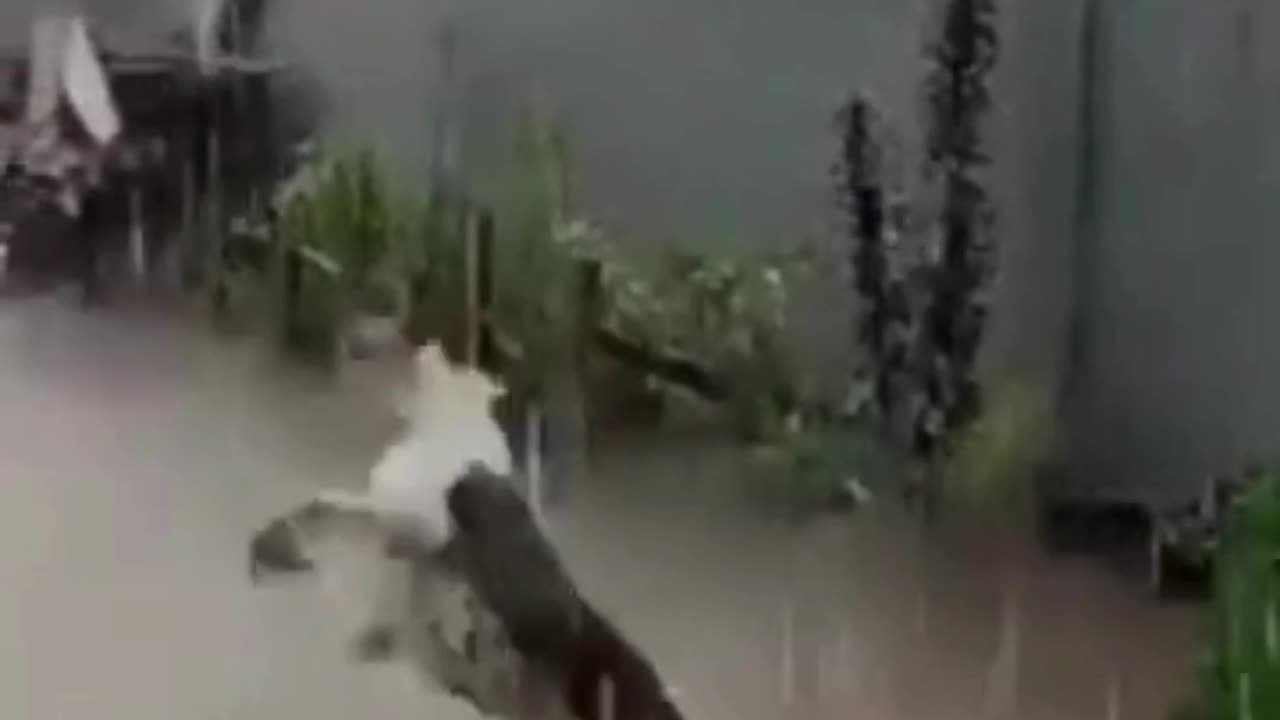 Rain Rain Everywhere, there is no place to go