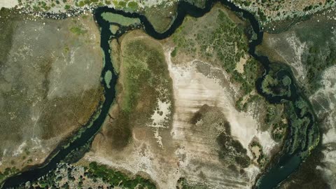 Excado Yolo Lo-Fi Escape