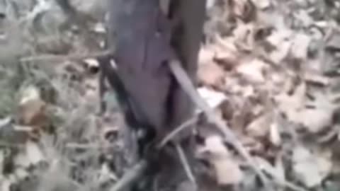 🧿👽 Unseen Forces: Ouija Board Session Gone Wrong | TheHauntingHour