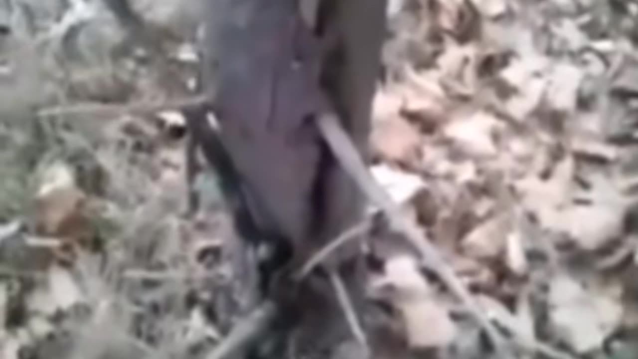 🧿👽 Unseen Forces: Ouija Board Session Gone Wrong | TheHauntingHour