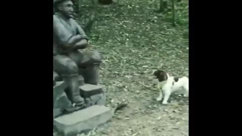 Try Not to Laugh / animals funnest movement video 🤣🤣