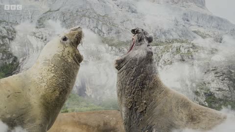 Travel to the Depths of Our Mysterious Oceans _ 4K UHD _ Blue Planet II _ BBC Earth