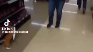 😂🐟 The Funniest Fish Theft Escape You'll See Today! | FunFM