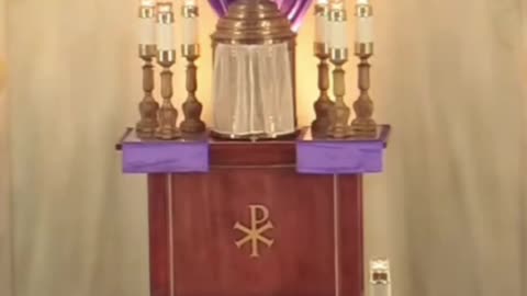 🚫 Stop Eating Your Own Damn-ation! You Must Discern the Body (Fr. Mark Beard)