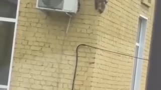 🤯👽 You Won't Believe This Strange Visitor From The Upside Down! | FunFM