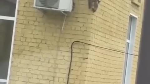 🤯👽 You Won't Believe This Strange Visitor From The Upside Down! | FunFM