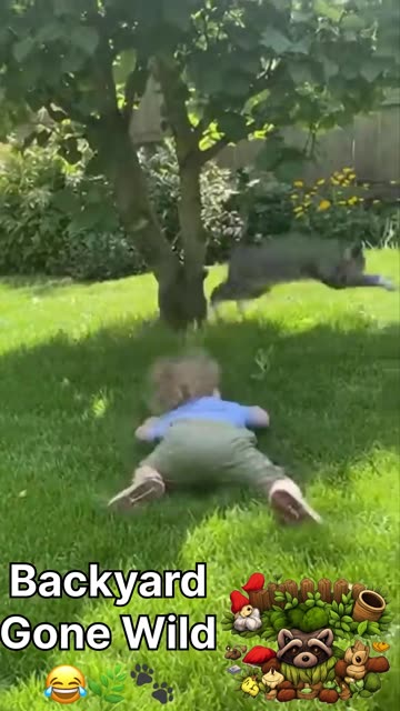 Outdoor Cat Mode: Chaos Unlocked 🤪👶🐾