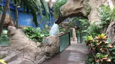 Chihuahuan Desert Museum 7 (Saltillo, Coahuila, Mexico)