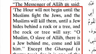 Why This Muslim Political Leader is DANGEROUS