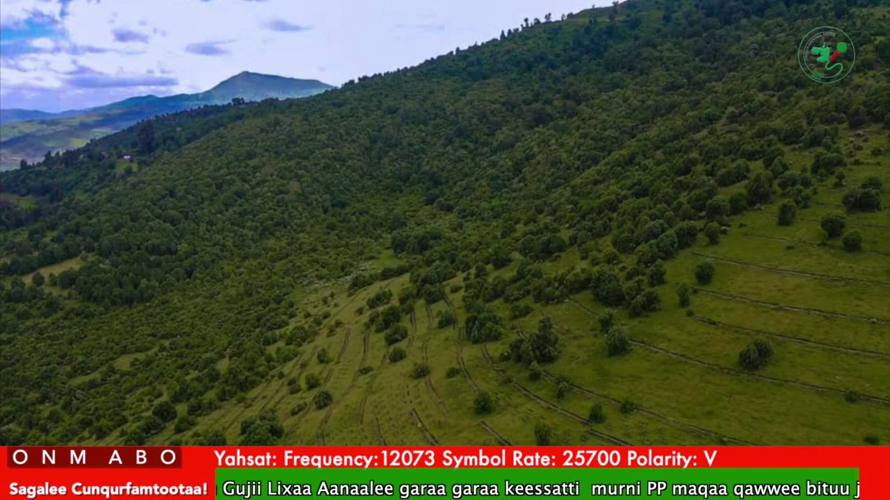 Oduu Waaree ONM-ABO Onkoloolessa 10-2025 itti dhiyaadhaa!