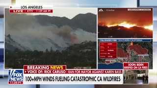 Former LA mayor candidate on wildfires: ‘People are going to be wiped out’