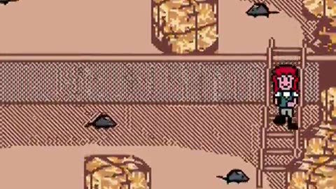 Game Boy Color Longplay 171 Bibi und Tina - Fohlen Felix in Gefahr