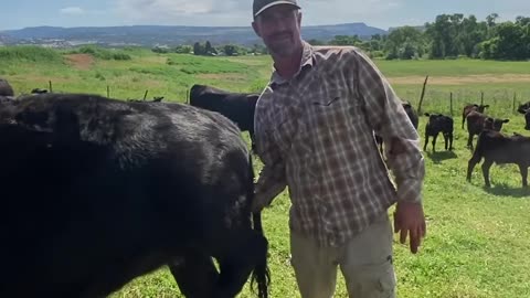 Don't Ask. cartercountrymeats.com