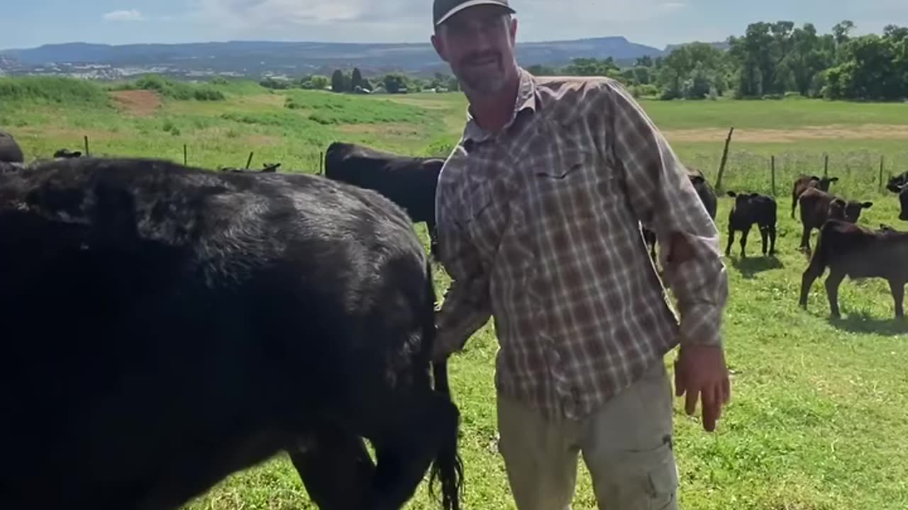 Don't Ask. cartercountrymeats.com