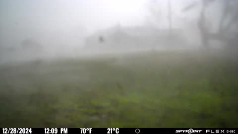 Trailcam Battered By Tornado Winds