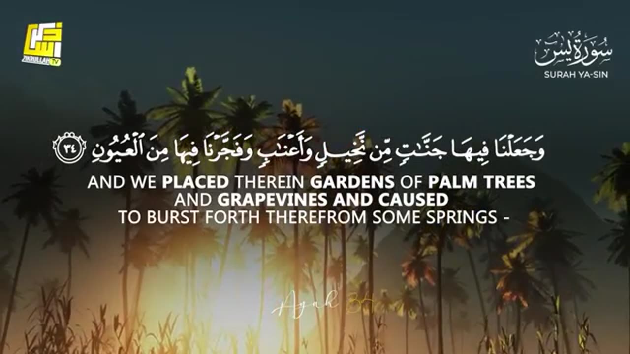 القران العظيم بجودة عالية
