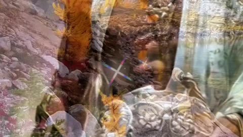 ORACIONES 😇 😶‍🌫️ 🤍 💜 🩷 ❤️