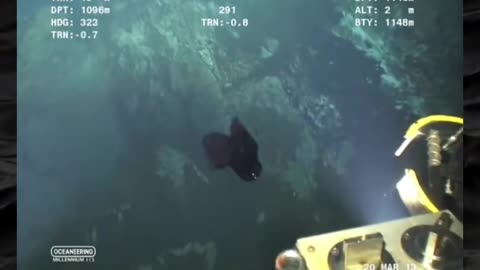 😨👻 The Most Chilling Paranormal Footage You'll Ever See! | TheHauntingHour