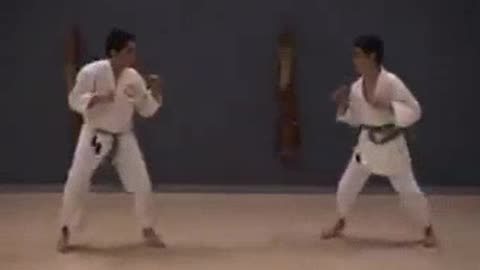 Shorin Ryu Karate