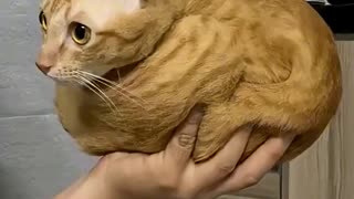 She Found Her Identical Twin 😂