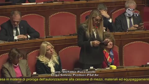 Pucciarelli - Intervento in Senato (21.01.25)