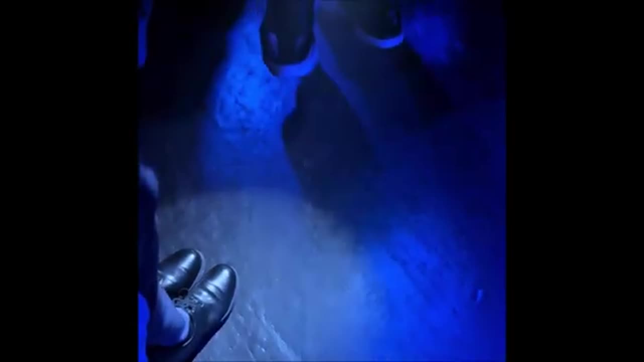 PALE - DREAMING(2025)