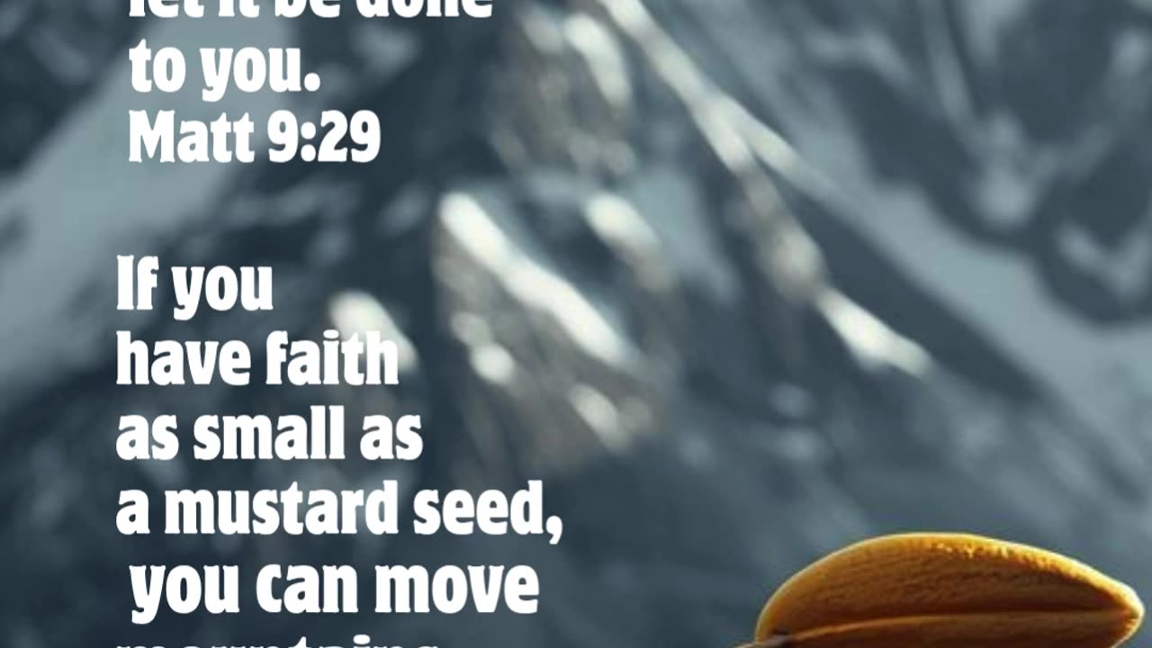 Faith Moves