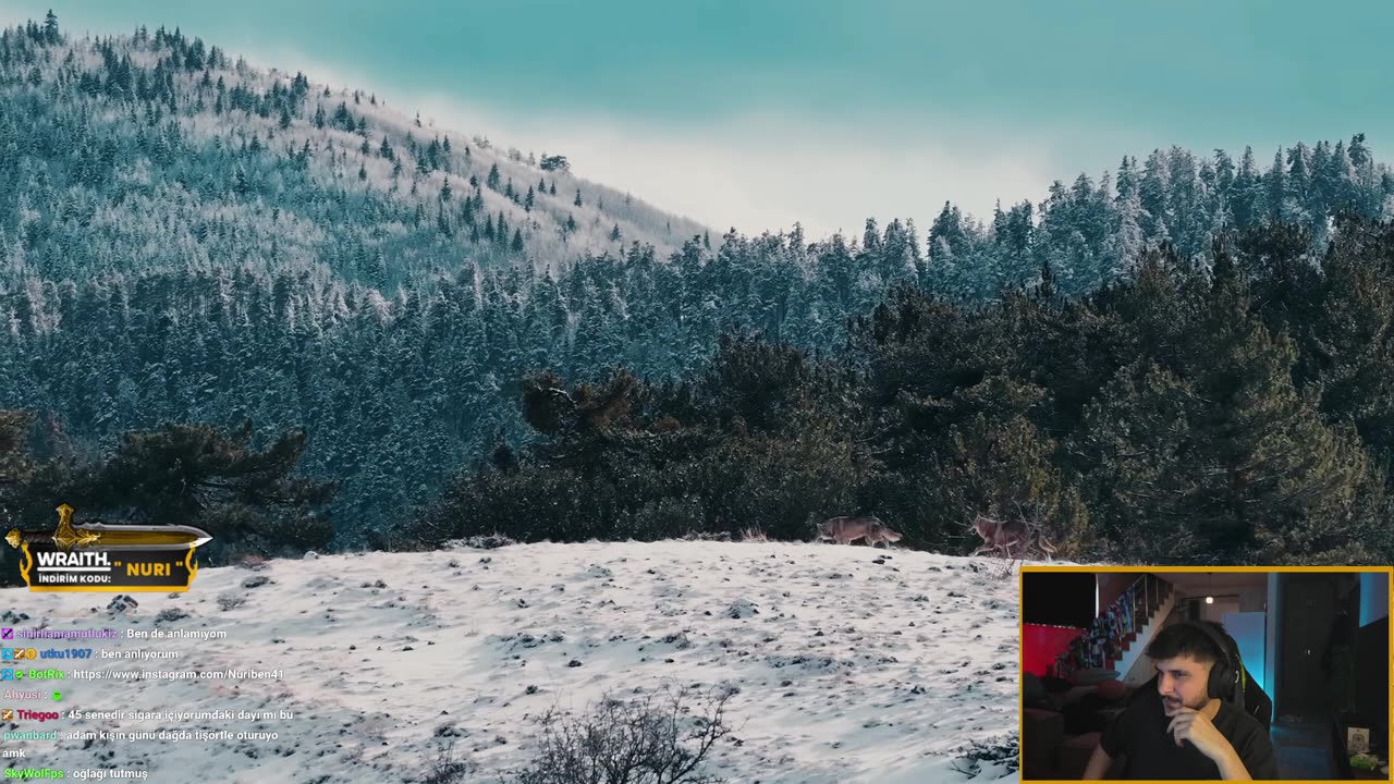 tüm gerçekler. | !blerp !wraith