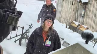 And the Kitchen Sink (January 2026)