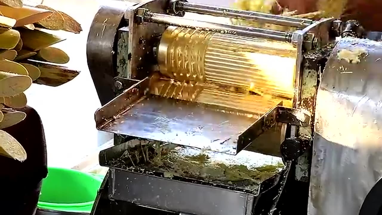 Delicious Sugarcane Juice