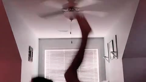 fun challenge 🍩😋