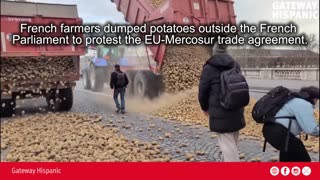 French farmers dump potatoes to protest EU-Mercosur deal