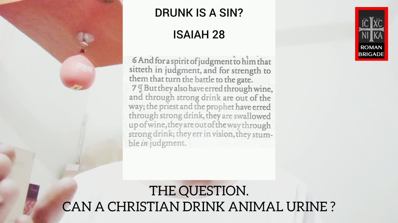 Can a Christian drink Animals Urine?