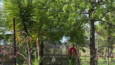 Springtime at Jaya 🙌