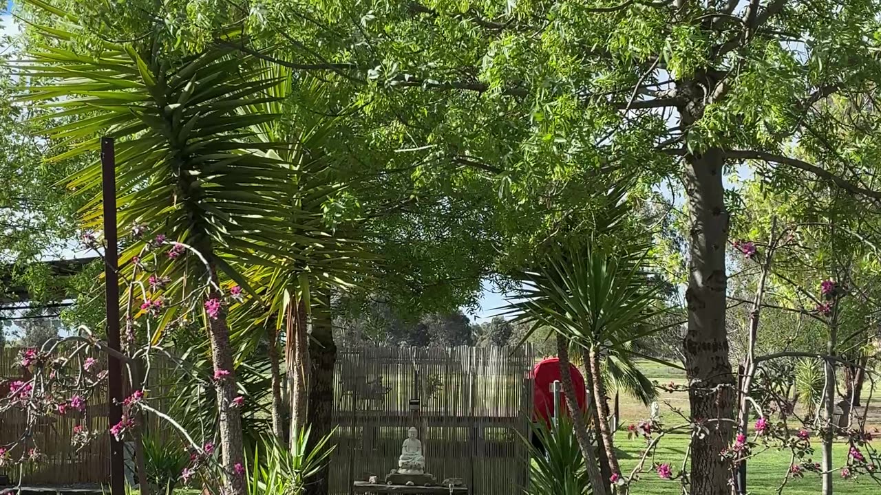 Springtime at Jaya 🙌