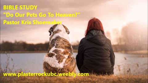 Do our Pets go to Heaven?