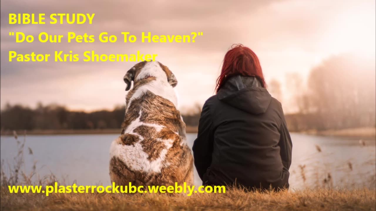 Do our Pets go to Heaven?