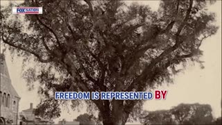 Inside the making of the Patriot Awards