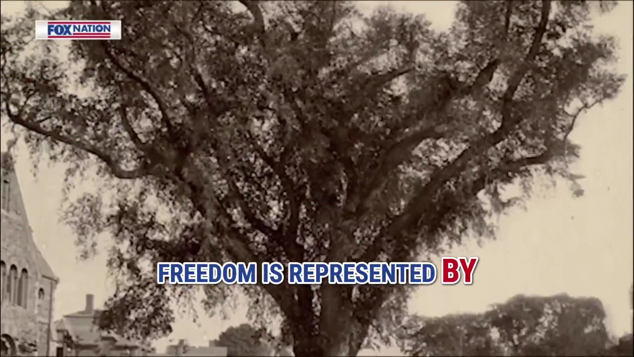 Inside the making of the Patriot Awards