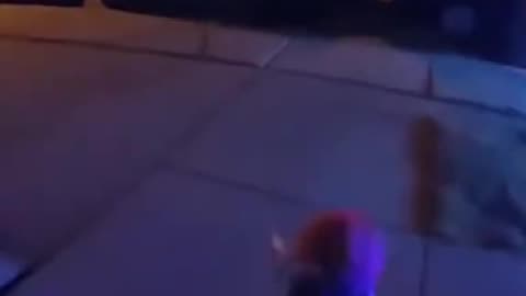 Chucky Almost Got Away 😂🥺😱