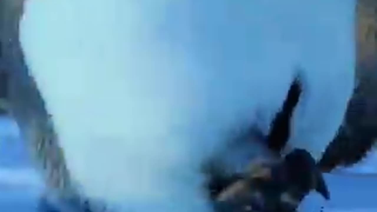 When the BBC wildlife crew broke the "no intervention" rule to save trapped penguin