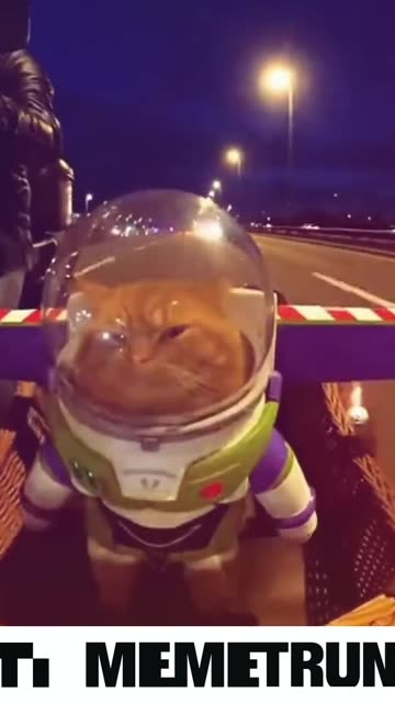 Buzz LightCat