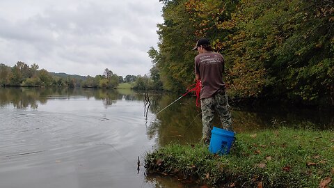 cast net fails
