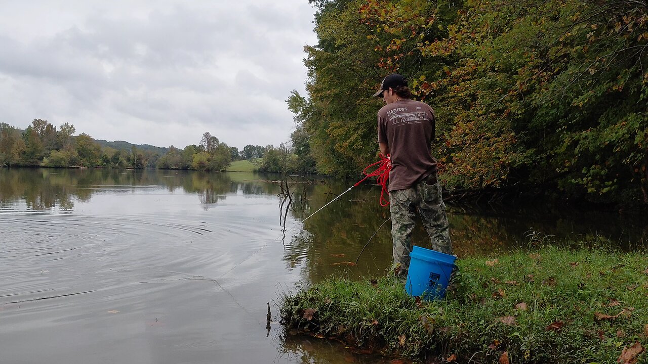 cast net fails