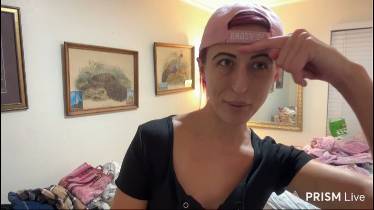 ⚠️🛑⚠️VP's DELETED 1:15 AM PST STREAM/VERY ANGRY AT ABBY & GOES FOR A WALK 11-14-25